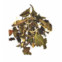 Thé Blanc Bio Exotique - Sachet de 50g
