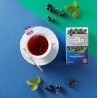 Infusion Ahmad de Cassis - Boite de 20 sachets