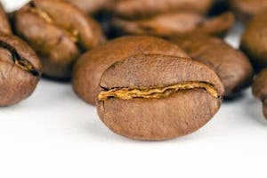 Conseils et découverte du café