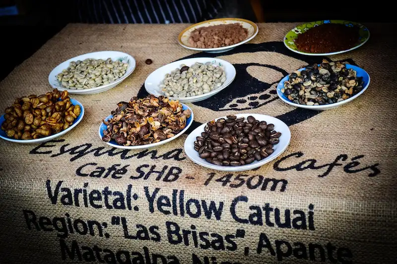 Café en grains Nicaragua Matagalpa Café vert et café torréfié du Nicaragua, qualité SHB