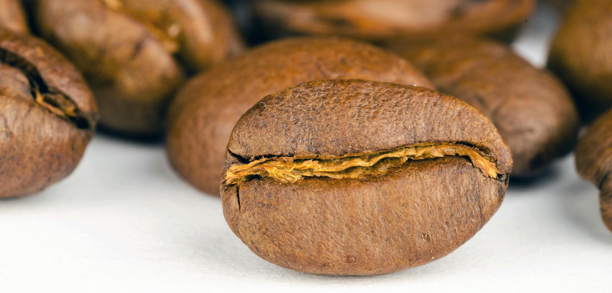 Infos sur le café en grain