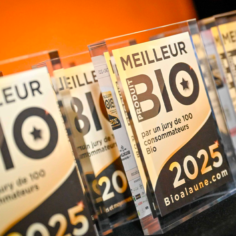 Thés bio primés : l’excellence selon La Route des Comptoirs